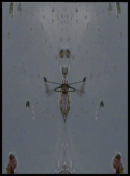 Œuvre contemporaine nommée « libellules en fusion », Réalisée par MIROIR PLANéTAIRE BLANC