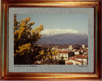Œuvre contemporaine nommée « Catalogne nord, Maureillas et mimosas 1994 », Réalisée par EMILE RAMIS