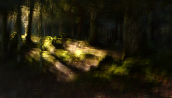 Œuvre contemporaine nommée « The Forest..... », Réalisée par PHILIPPE BERTHIER
